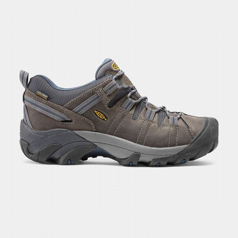 Zapatos Trekking Keen Targhee II Waterproof Para Hombre Marrom - Zapatos Keen Mexico (841256-CFZ)